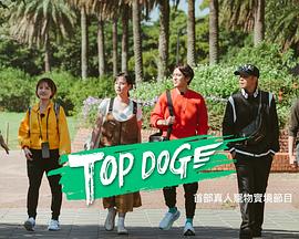 爆走黑料《TOP DOG》免费在线观看
