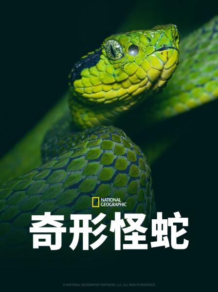 爱情岛论坛《奇形怪蛇》免费在线观看